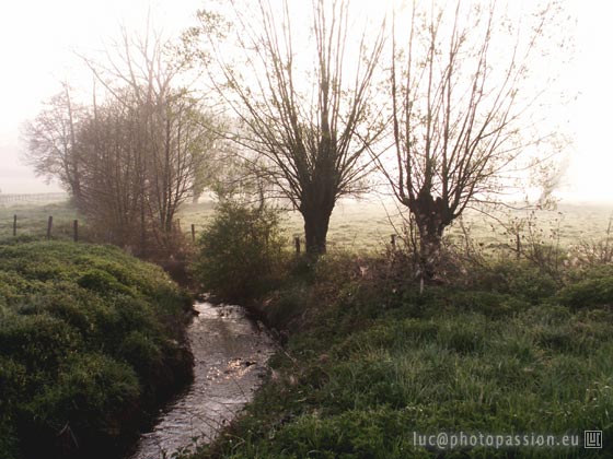 la rivi&egrave;re R&eacute;dan dans la brume du matin