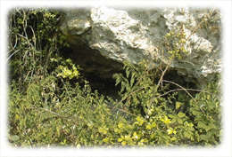 entr&eacute;e d'une anfractuosit&eacute; ressemblant &agrave; une grotte